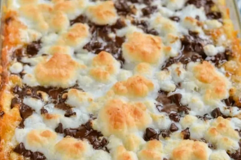 Delicious S'mores Magic Bars with chocolate, graham crackers, and marshmallows.
